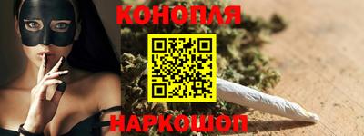 гашик Жуковский